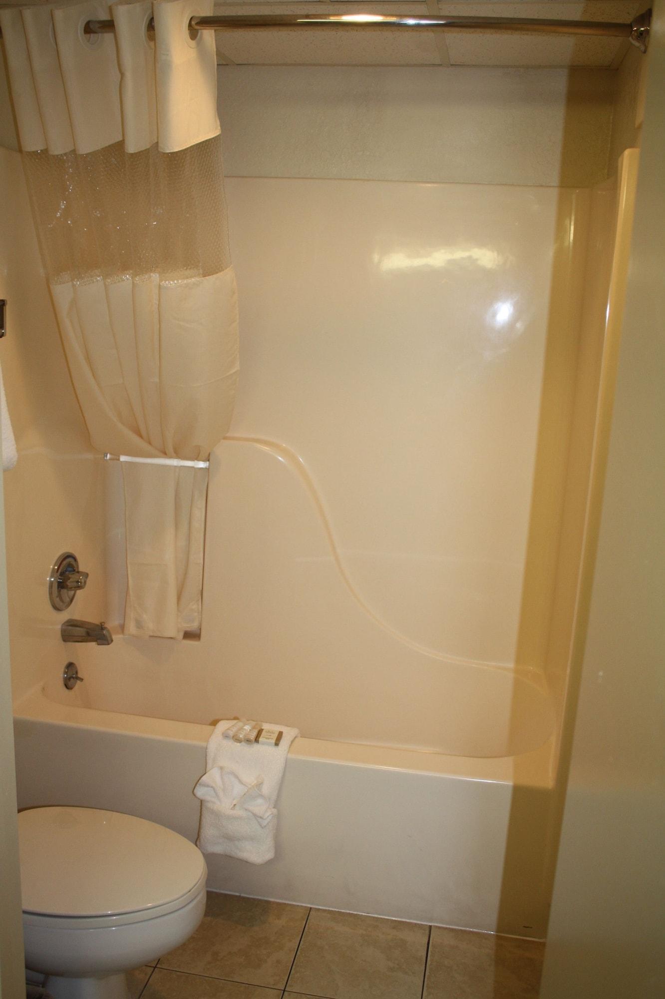 Baymont By Wyndham Pigeon Forge Near Island Drive Hotel Bagian luar foto